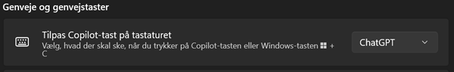 Artikel billede