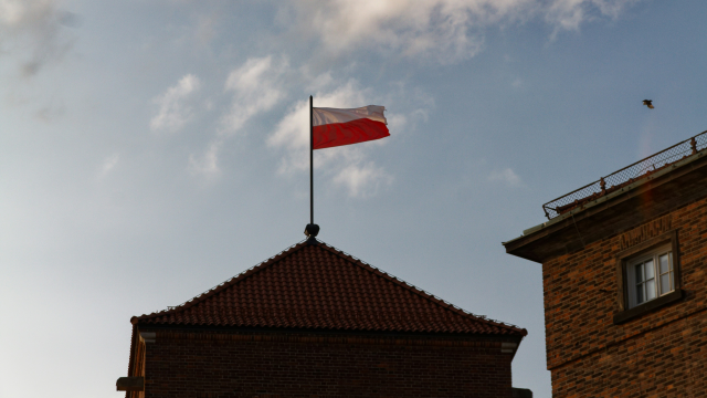 Artikel teaser billede