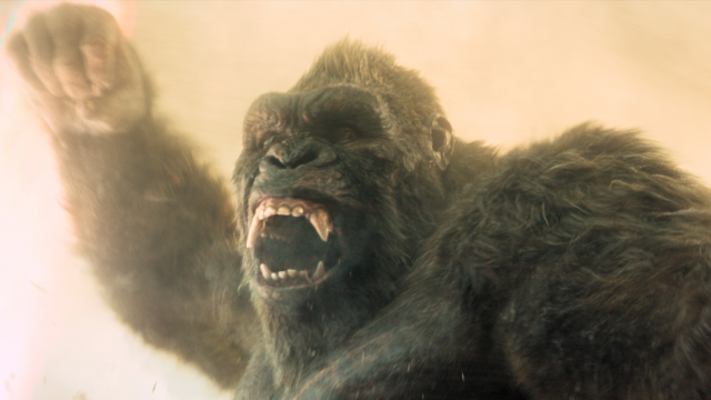 Artikel teaser billede