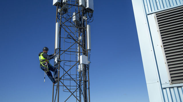 Artikel teaser billede