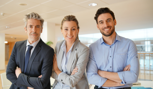 Ledelse kategoribillede