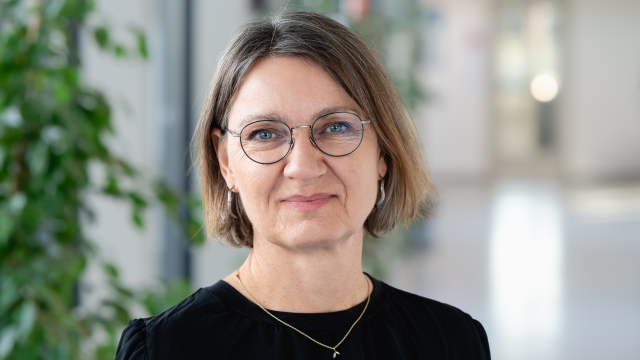 Artikel teaser billede