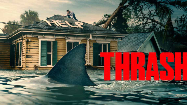 Artikel teaser billede