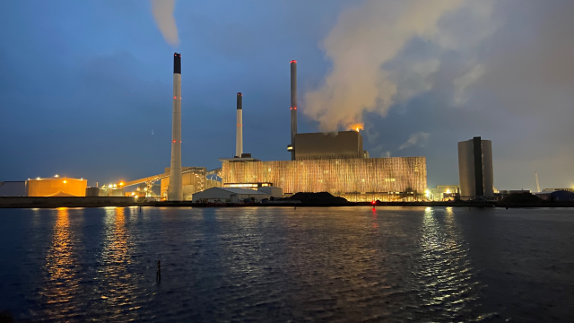 Artikel teaser billede