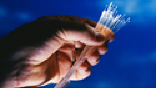 Artikel teaser billede