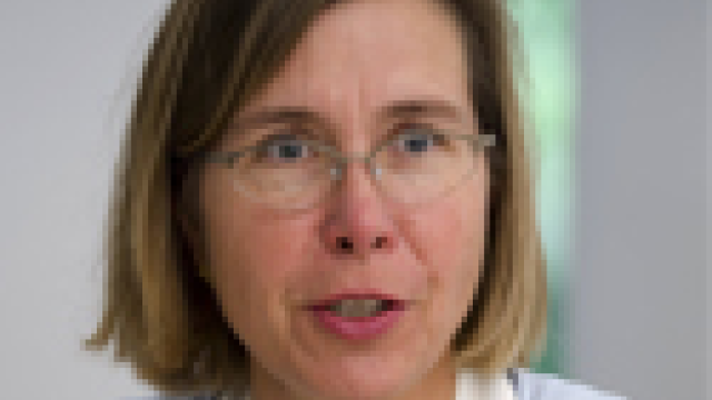Artikel teaser billede