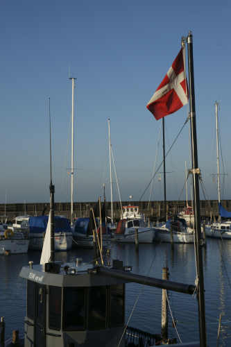 Artikel billede