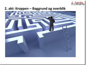 Artikel billede