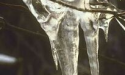 Artikel teaser billede