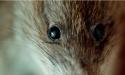 Artikel teaser billede