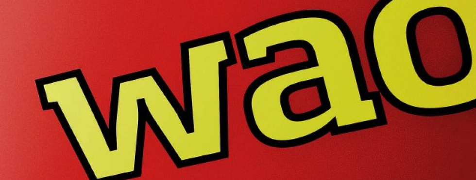 Artikel top billede