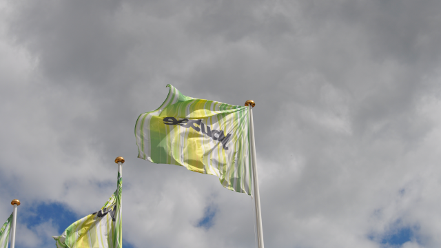 Artikel teaser billede