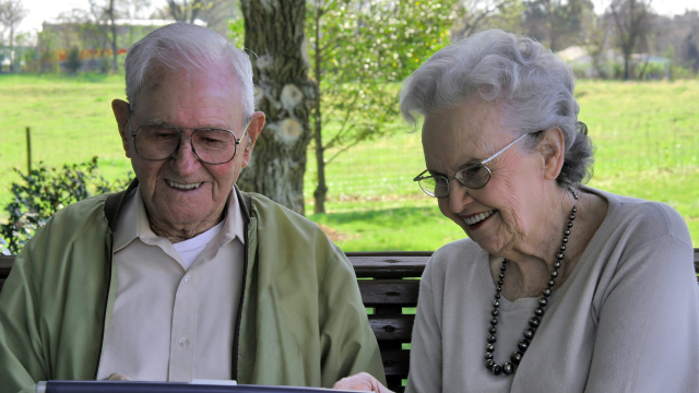 Artikel teaser billede