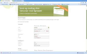 Artikel billede