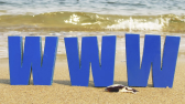 Artikel teaser billede
