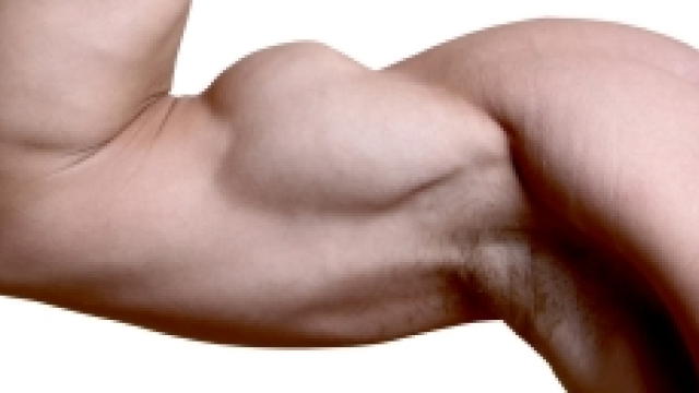 Artikel teaser billede
