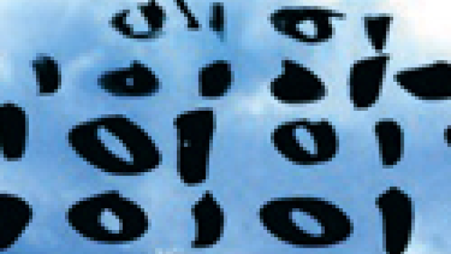 Artikel teaser billede