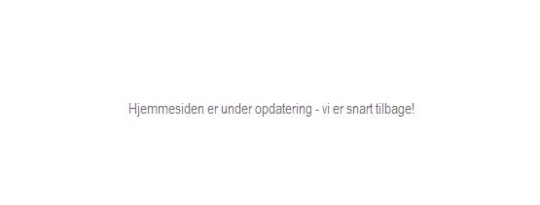 Artikel top billede