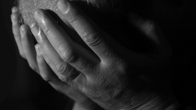 Artikel teaser billede