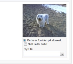 Artikel billede