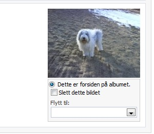 Artikel billede