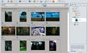 Artikel teaser billede