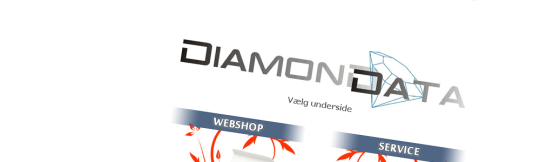 Artikel top billede