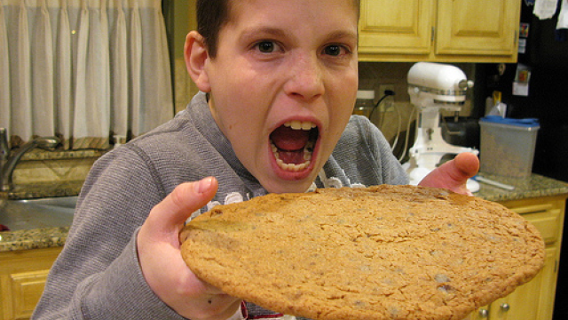 Artikel teaser billede