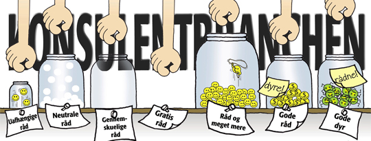 Artikel top billede