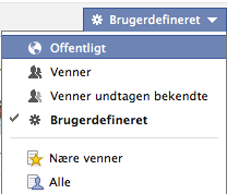 Artikel billede