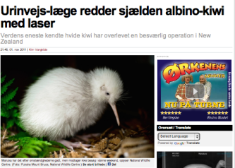 Artikel billede