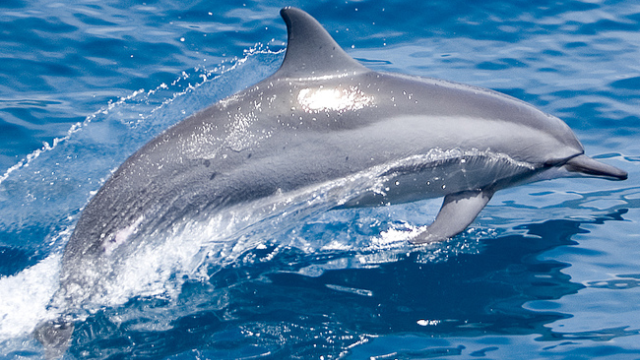 Artikel teaser billede