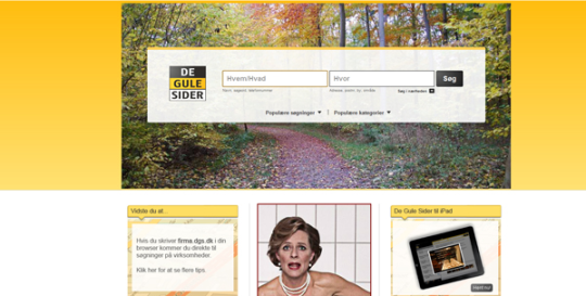 Artikel top billede