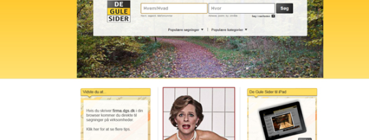 Artikel top billede
