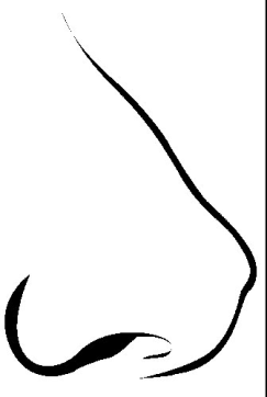 Artikel billede