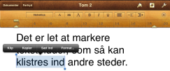 Artikel billede